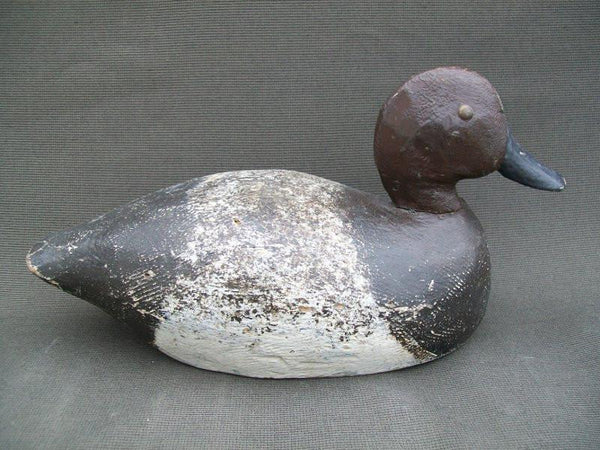 Unknown Wisconsin Redhead Tackeyes