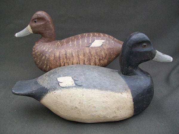 R.W. Schaap Blue Bill Pair