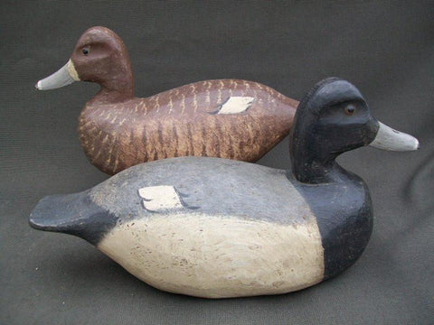 R.W. Schaap Blue Bill Pair