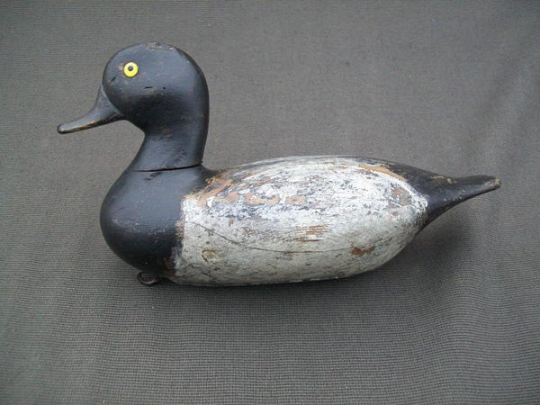 Illinois River Blue Bill with Weight