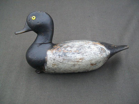 Illinois River Blue Bill with Weight