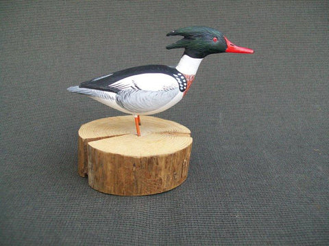 Anthony Hillman Miniature Red Breasted Merganser