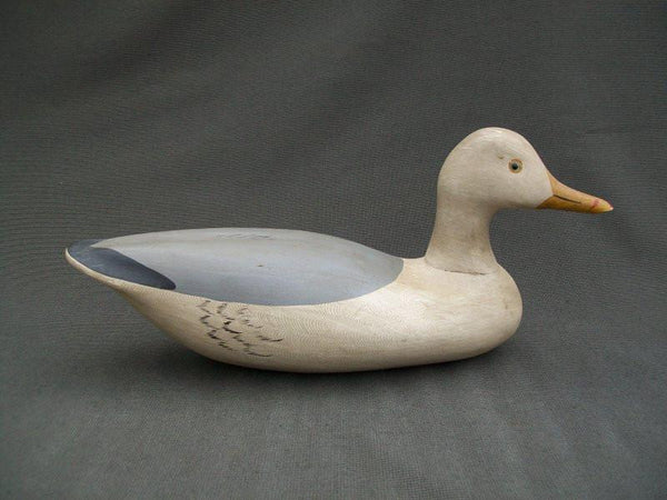 Seagull by Charlie Moore- Very early