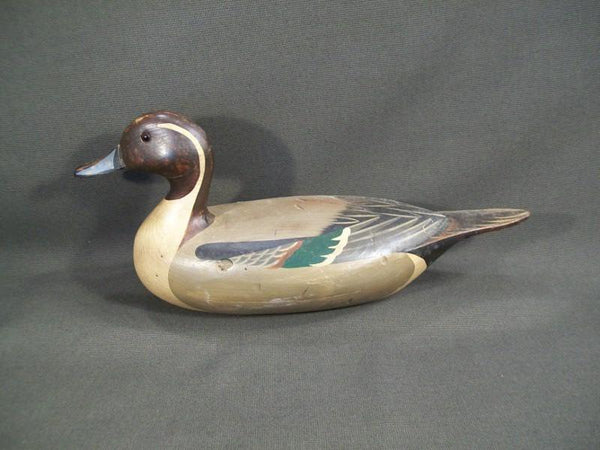T.J. Hooker Pintail