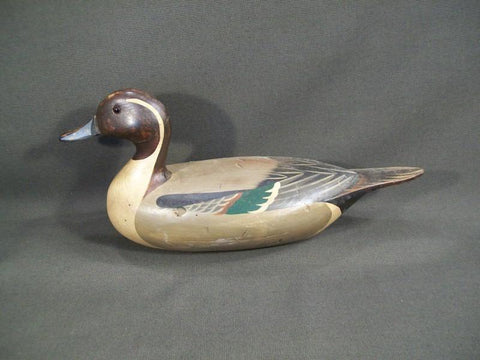 T.J. Hooker Pintail