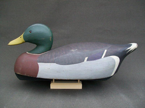 Ken Harris working Mallard Drake