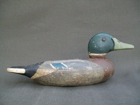 Illinois River Mallard Drake possibly early Mott