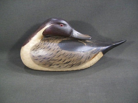 Elmer Crowell Style Preening Pintail