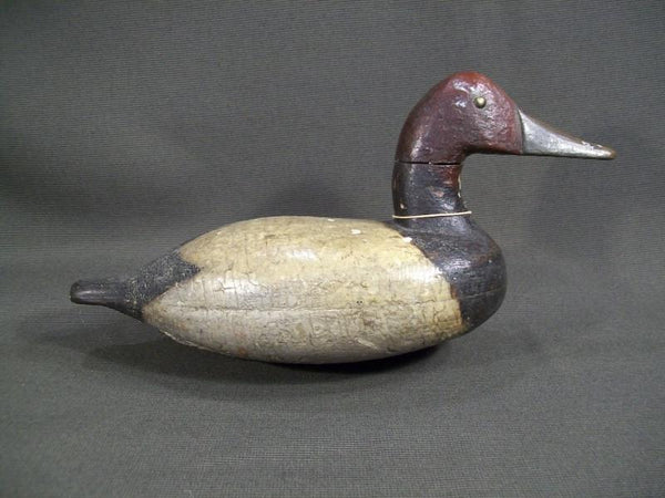 Charles Smith Illinois River Canvasback with weight