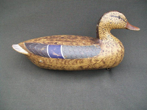 Charles Perdew Mallard Hen with original weight, Henry Illinois