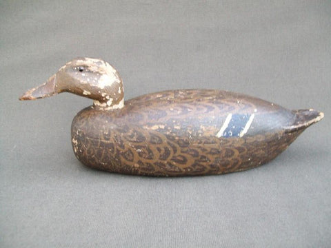 Heck Whittington working Mallard Hen