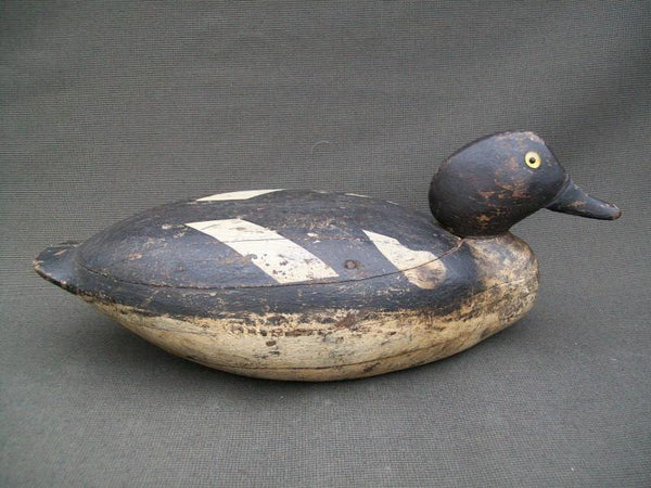 NY Long Island Golden Eye Hen Original Paint