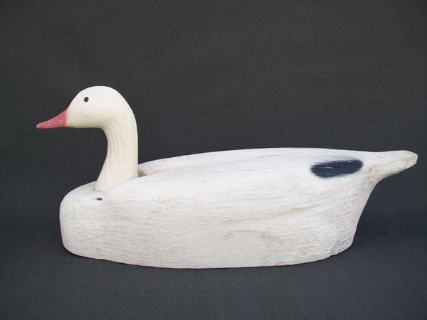 Herters Snow Goose- Tenite Head