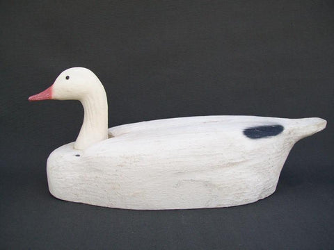 Herters Snow Goose- Tenite Head