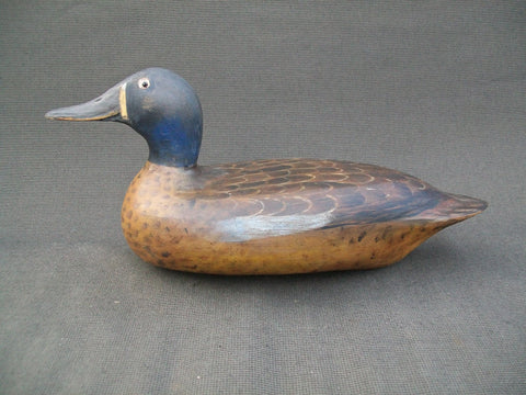 Elliston Style Blue Wing Teal