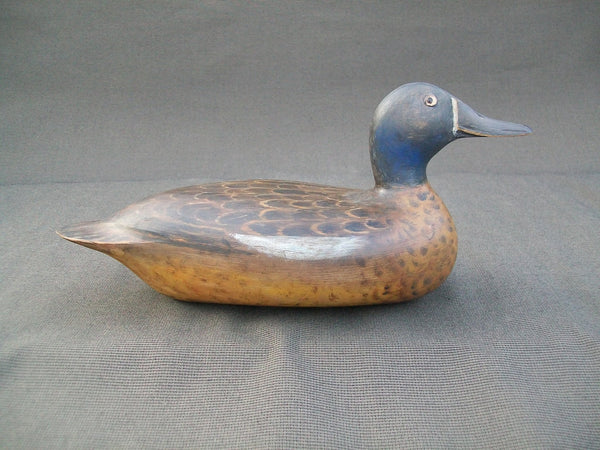 Elliston Style Blue Wing Teal