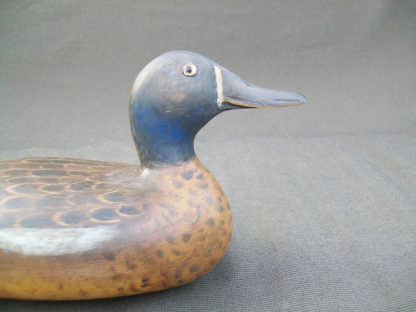 Elliston Style Blue Wing Teal