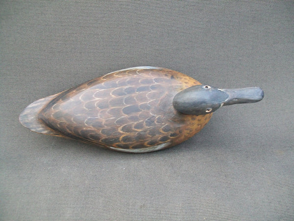 Elliston Style Blue Wing Teal