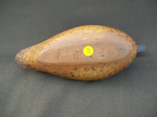 Elliston Style Blue Wing Teal