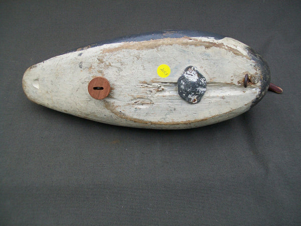 Maine Red Breasted Merganser