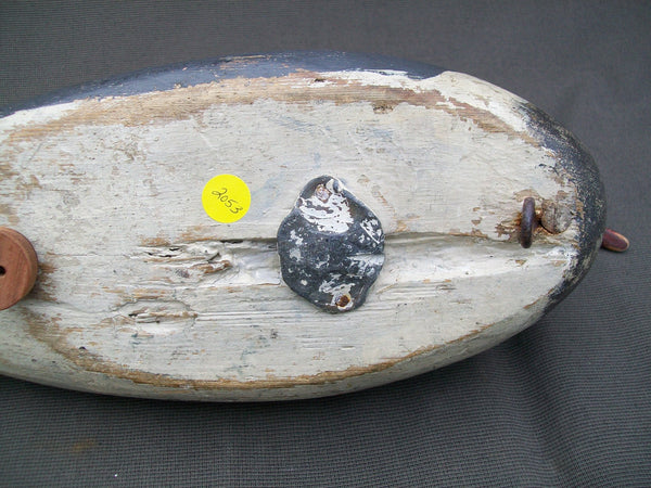 Maine Red Breasted Merganser