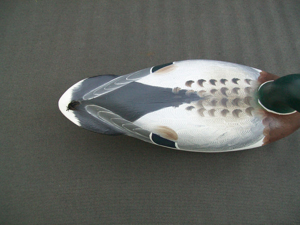 Robert Weeks Mallard Drake