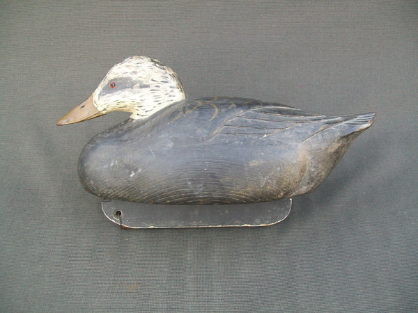 Hudson River New York Black Duck  (#2109)