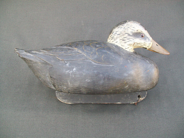 Hudson River New York Black Duck  (#2109)