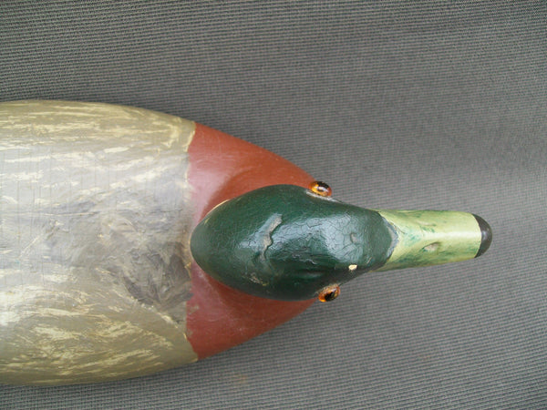 Lohrman Mallard Drake with lead  - Circa 1930's   (#2127)