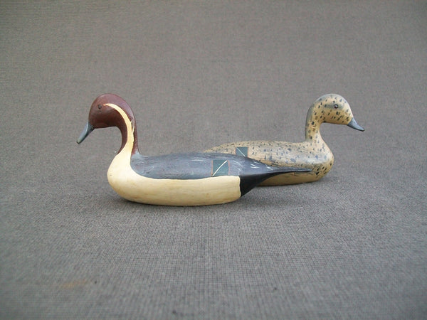 Wilfred Bush Pair- Miniature Pintails   (#2132)