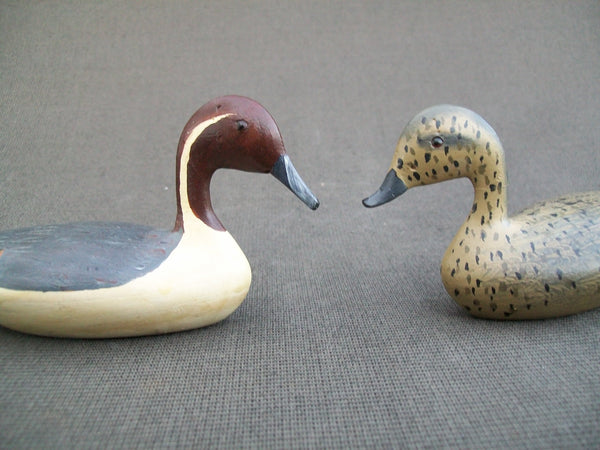Wilfred Bush Pair- Miniature Pintails   (#2132)