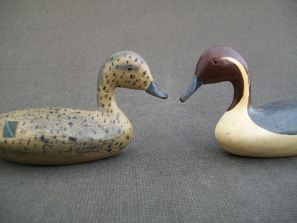 Wilfred Bush Pair- Miniature Pintails   (#2132)
