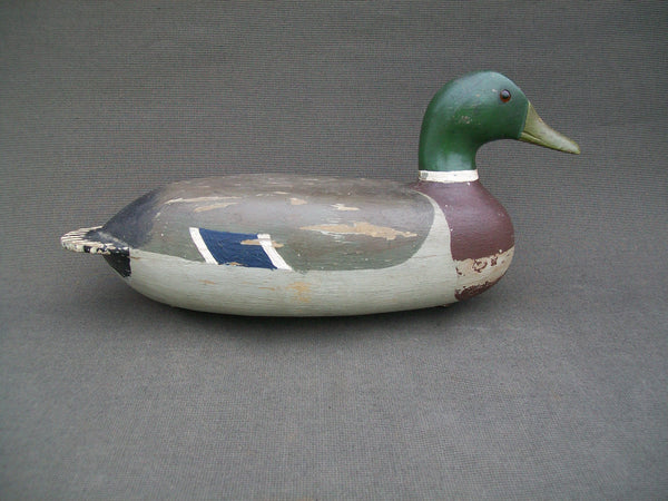 Illinois River Mallard Drake (#2165)