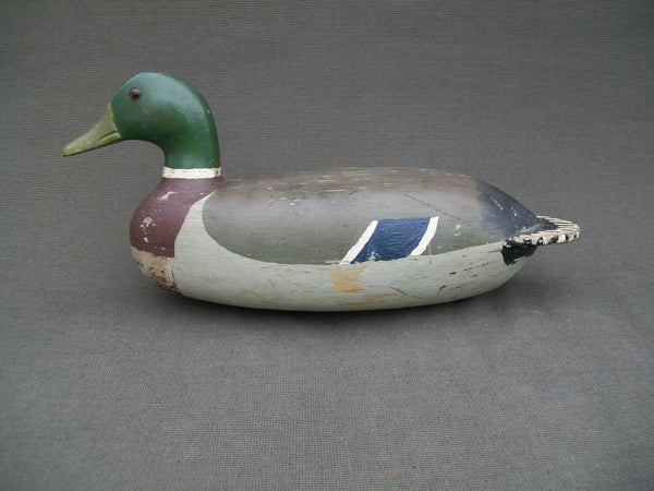 Illinois River Mallard Drake (#2165)