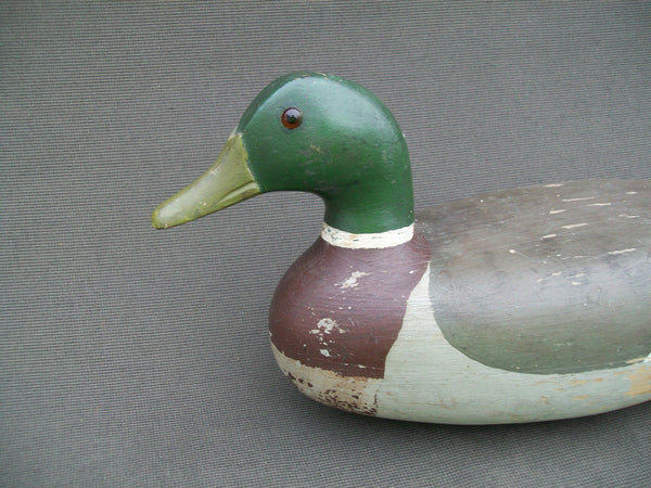 Illinois River Mallard Drake (#2165)