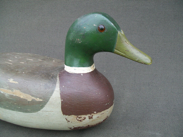 Illinois River Mallard Drake (#2165)