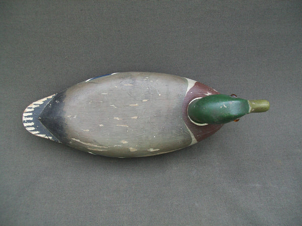 Illinois River Mallard Drake (#2165)