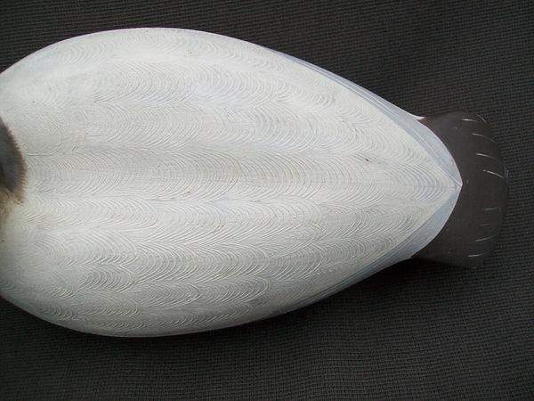 Ken Weeks Canvasback- Pair