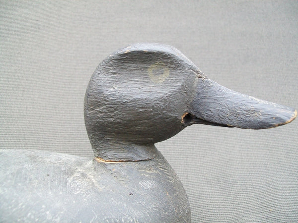 Ontario Blue Bill - Original Paint- Circa 1930's  (#2178)