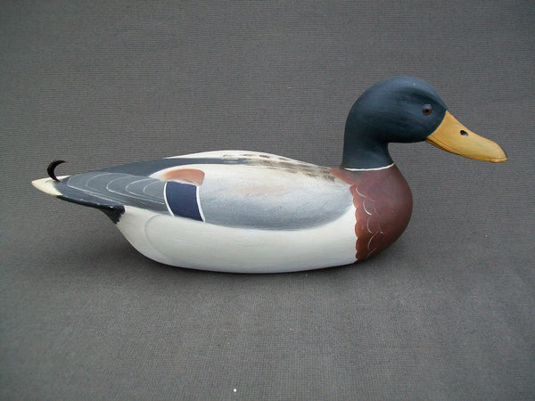 Robert Weeks Mallard Drake, Bureau Illinois   (#2179)