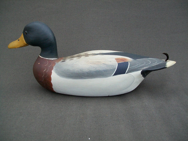 Robert Weeks Mallard Drake, Bureau Illinois   (#2179)