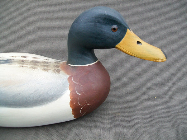 Robert Weeks Mallard Drake, Bureau Illinois   (#2179)