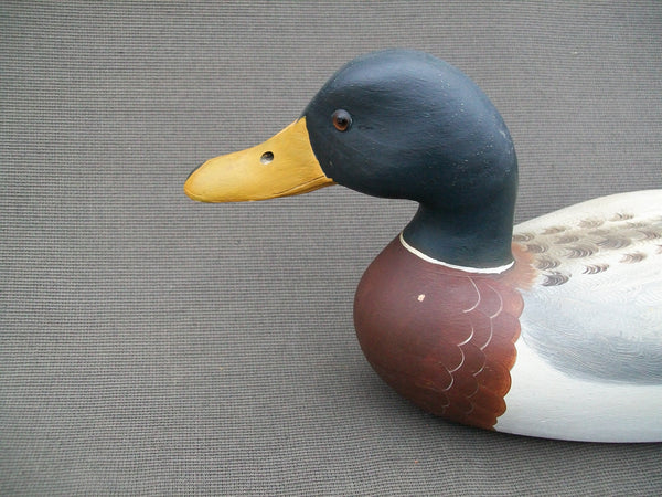 Robert Weeks Mallard Drake, Bureau Illinois   (#2179)