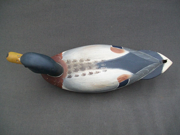 Robert Weeks Mallard Drake, Bureau Illinois   (#2179)