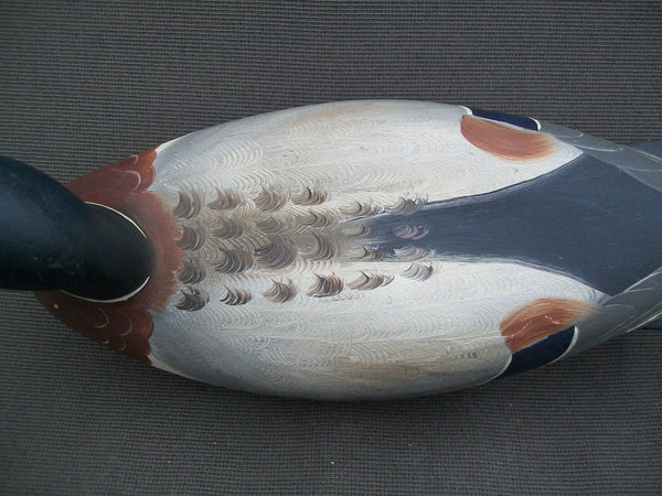 Robert Weeks Mallard Drake, Bureau Illinois   (#2179)