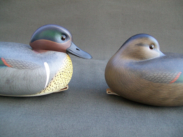 Green Wing Teal Pair by Frederick Brown