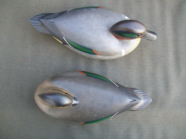 Green Wing Teal Pair by Frederick Brown