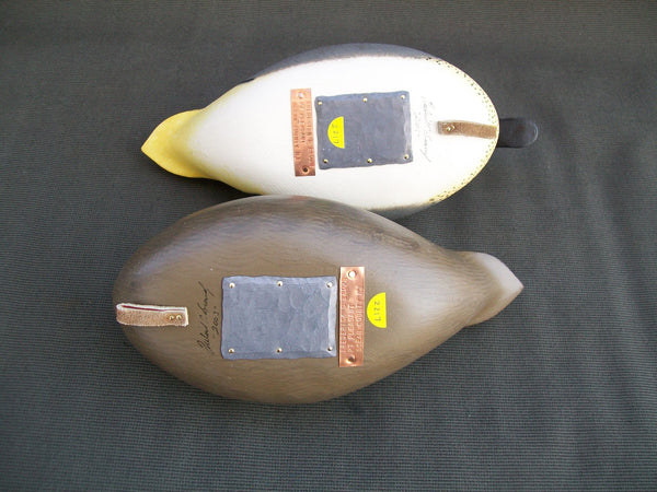 Green Wing Teal Pair by Frederick Brown