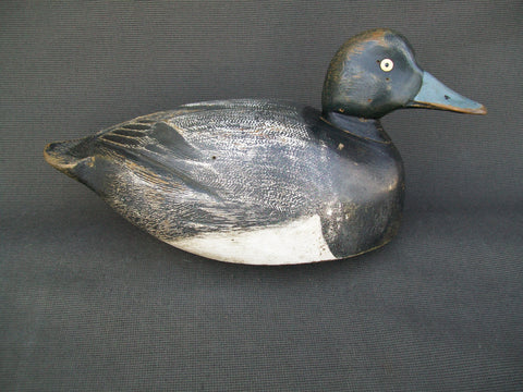 Canada Blue Bill, Original Paint  (#2236)