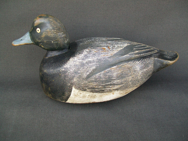 Canada Blue Bill, Original Paint  (#2236)